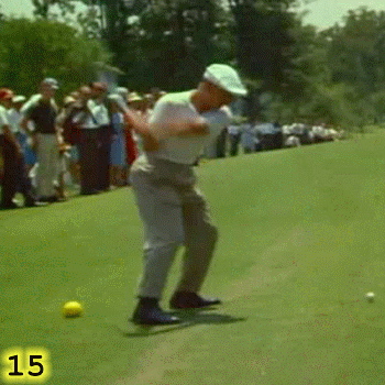 HEEL PLANT AND START OF DOWNSWING: In Frame 15, Ben Hogan’s left heel is firmly planted on the ground and the linear momentum that he created is in the process of being converted into rotational momentum by the extension of his left leg. His left knee is starting to extend and to drive the rotation of his hips. His right heel is starting to be pulled off the ground by the rotation of his hips. Notice how, while Ben Hogan’s left arm is straight, his right elbow is connected to his back hip and his back arm is making an L shape.  He is maintaining the hinge angle and the club is still  in the lag position.
